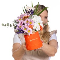 Daisy Hug Lila Papatya Bahçesi