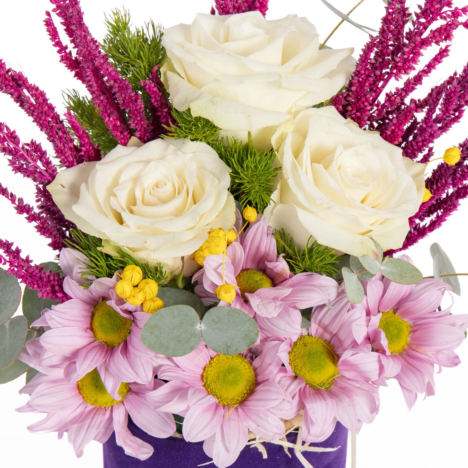 Lilac Wishes Lila Çiçek Dileği