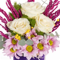 Lilac Wishes Lila Çiçek Dileği