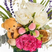 Teddy Blush Ayıcıklı Pembe Güller