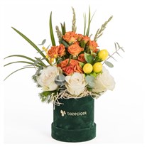 Citrus Delight Turuncu Gül Bahçesi