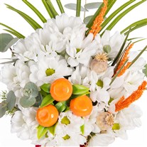 Citrus Cloud Sevimli Papatyalar