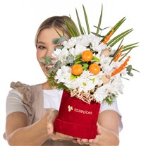 Citrus Cloud Sevimli Papatyalar