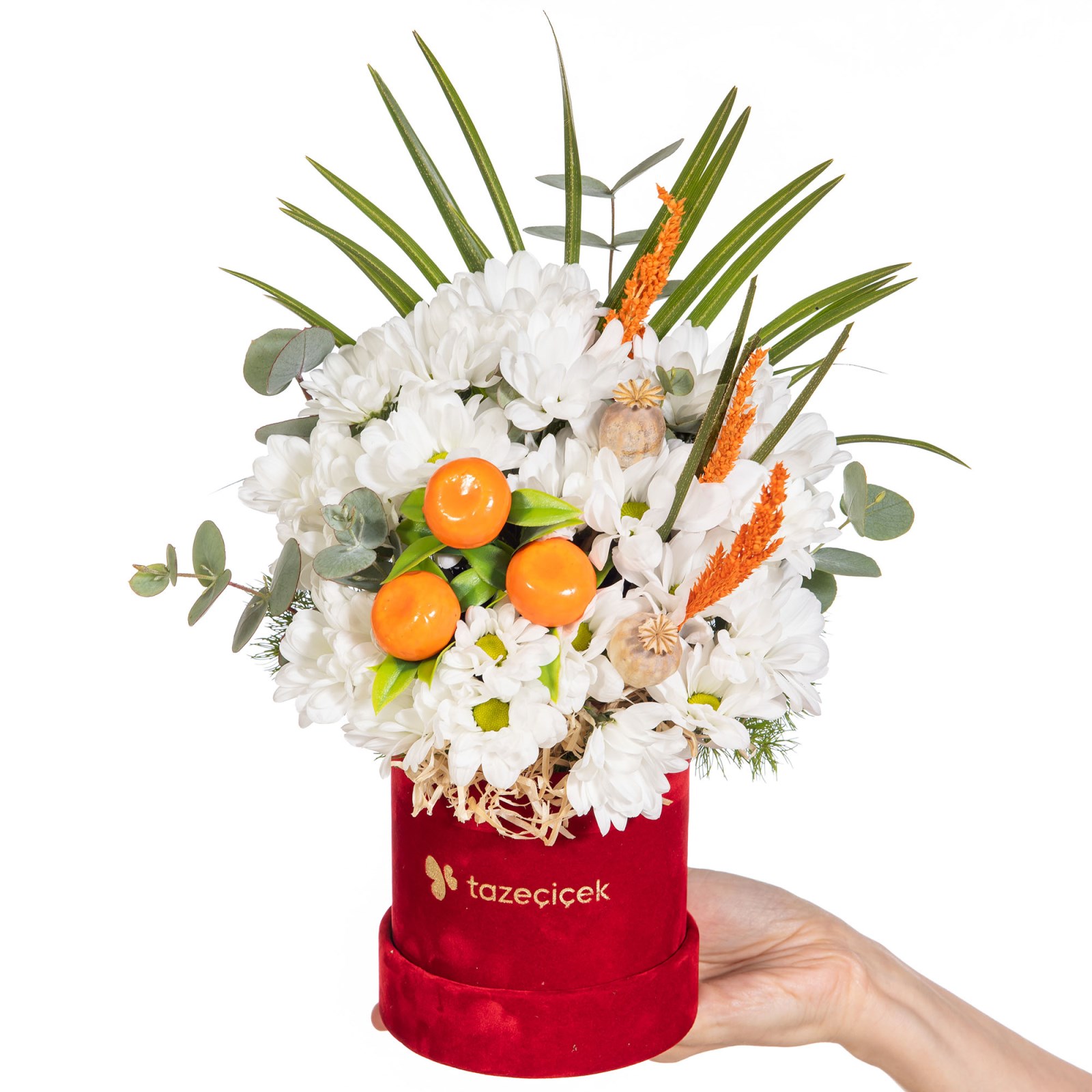 Citrus Cloud Sevimli Papatyalar