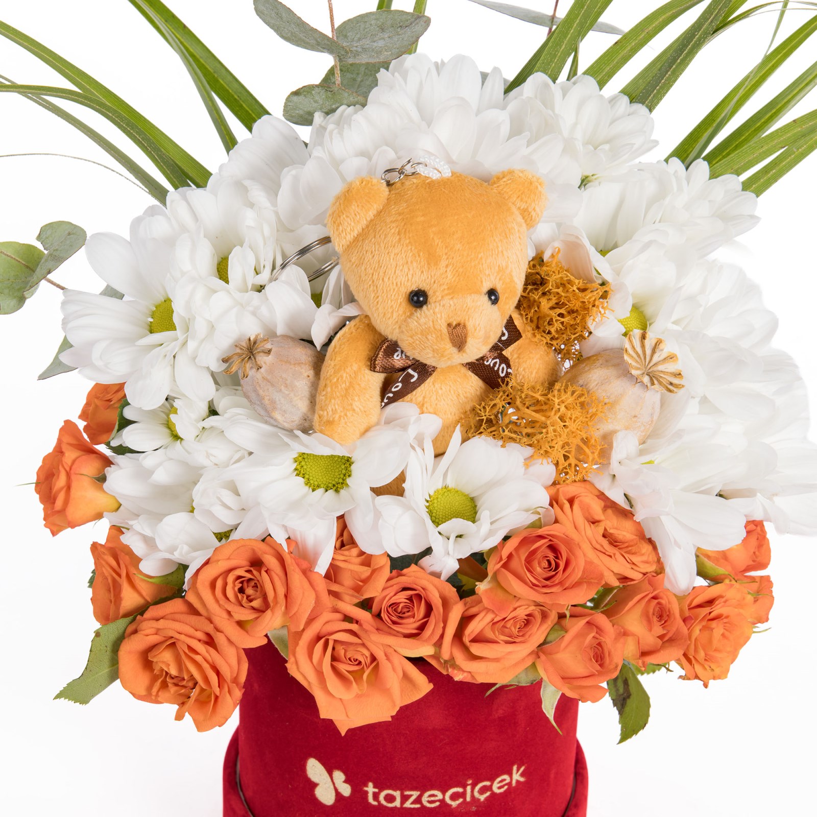 Honey Cuddle Ayıcıklı Papatya Neşesi
