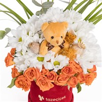 Honey Cuddle Ayıcıklı Papatya Neşesi