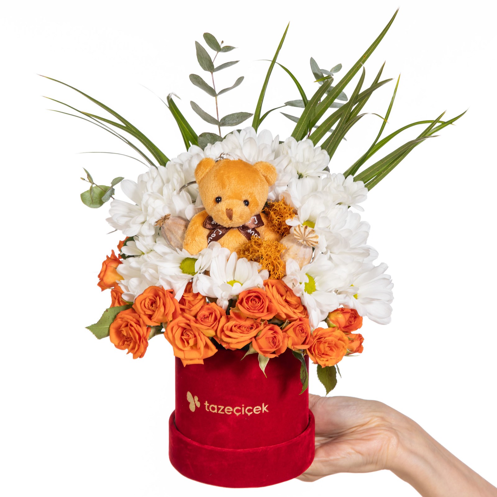 Honey Cuddle Ayıcıklı Papatya Neşesi
