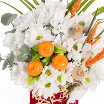 Daisy Sparkle Işıl Işıl Papatyalar