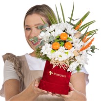 Daisy Sparkle Işıl Işıl Papatyalar