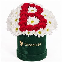 Blooming Tale Kişiye Özel Papatyalar