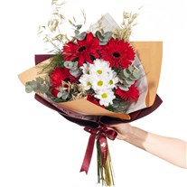 Cherry Daisy Kırmızı Gerbera Buketi