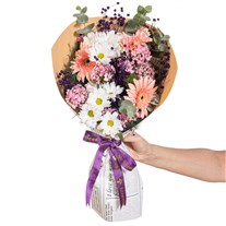 Peach Melody Gerbera ve Papatya Masalı