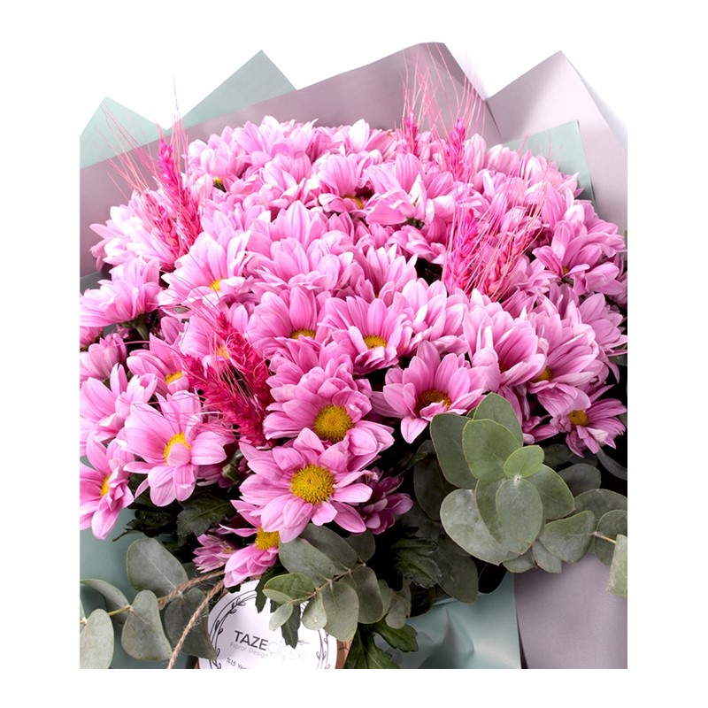 Pink Heaven Papatyalar