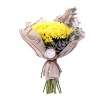 Yellow Fall Papatyalar