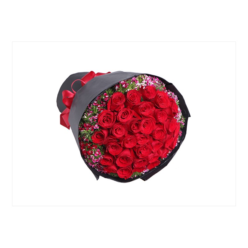 Red Dream Güller