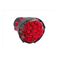 Red Dream Güller