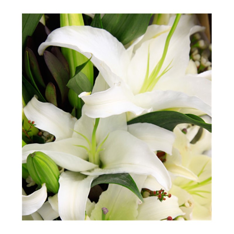 White Lilyum Çiçek Buketi