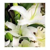 White Lilyum Çiçek Buketi