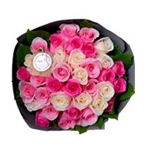For Princess Pink Rose