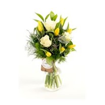 Tulips Whiff