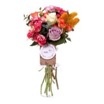 Colorful Sprey Roses
