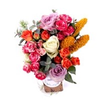 Colorful Sprey Roses