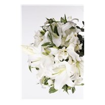 Lilies Dream Vazoda Çiçek