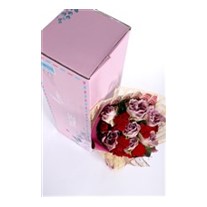 Magic Love in The Box