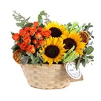 Sunflowers in the Basket