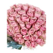Assorted Fall 71 Rose Bouquet