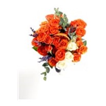 Ice Cream Orange Rose