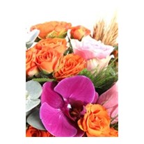 Extreme Floral Çardak Güller