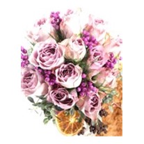 Harmony Velvet