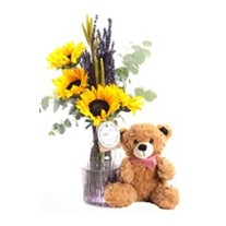 Teddy & Sunflower