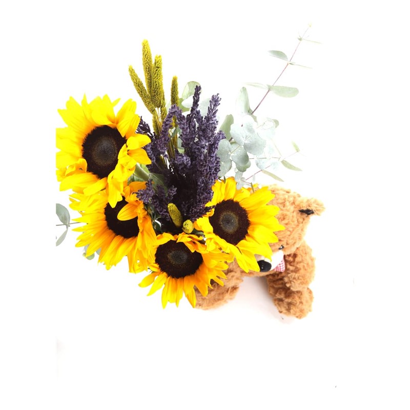 Teddy & Sunflower