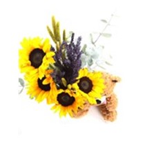 Teddy & Sunflower