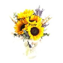 Sweetcorn & Sunflower