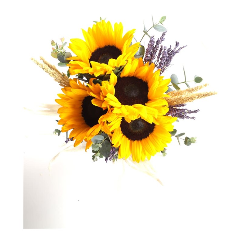 Sweetcorn & Sunflower