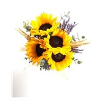 Sweetcorn & Sunflower
