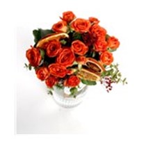 Holiday Orange Roses