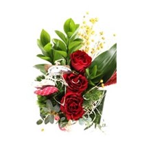 Vivid Love Vazoda Gül