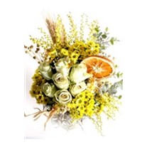 Yellow & White Star