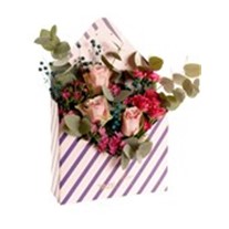 Pink Champagne Roses