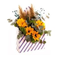 Summer & Sunshine Letter