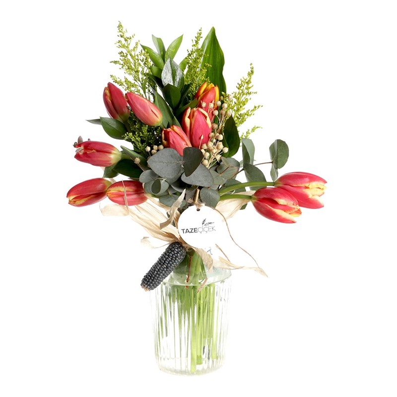 My Dream Sweet Tulip