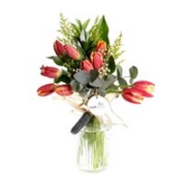 My Dream Sweet Tulip