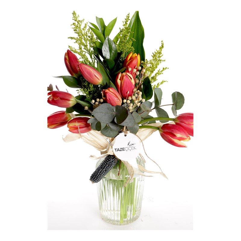 My Dream Sweet Tulip