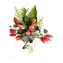 My Dream Sweet Tulip