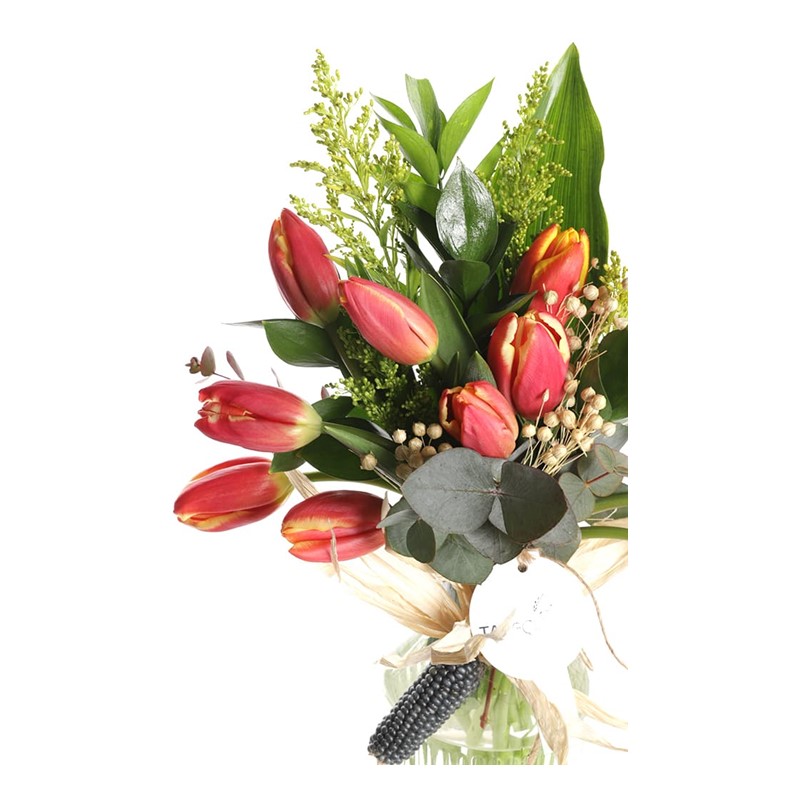 My Dream Sweet Tulip