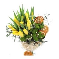 Pro Beyond Yellow Tulip